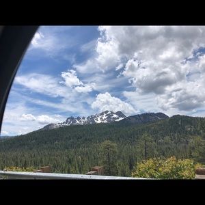 Meet your Posher, Maggie